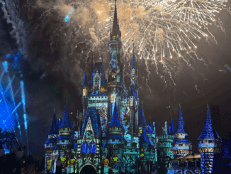 Fireworks at Mickey's Not So Scary Halloween Party Magic Kingdom Park