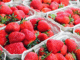 Louisiana Strawberry Recipes