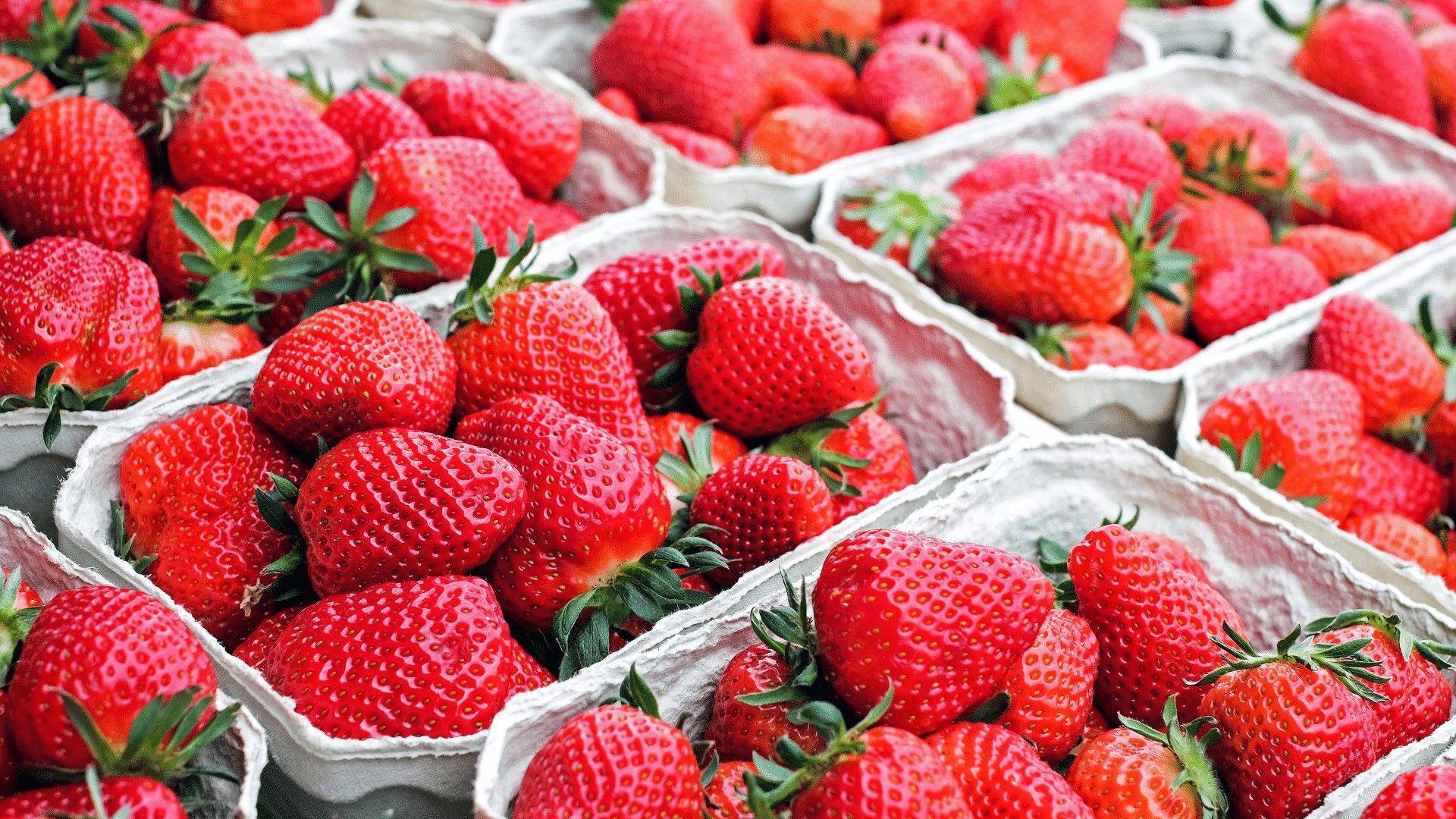 Louisiana Strawberry Recipes