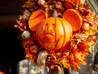 Mickey Pumpkin Halloween decor at Magic Kingdom