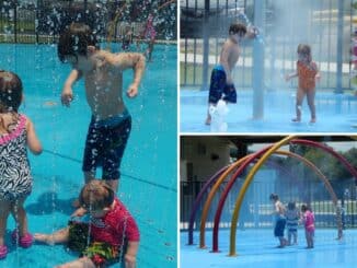 Kids playing at Ormond Spray Park