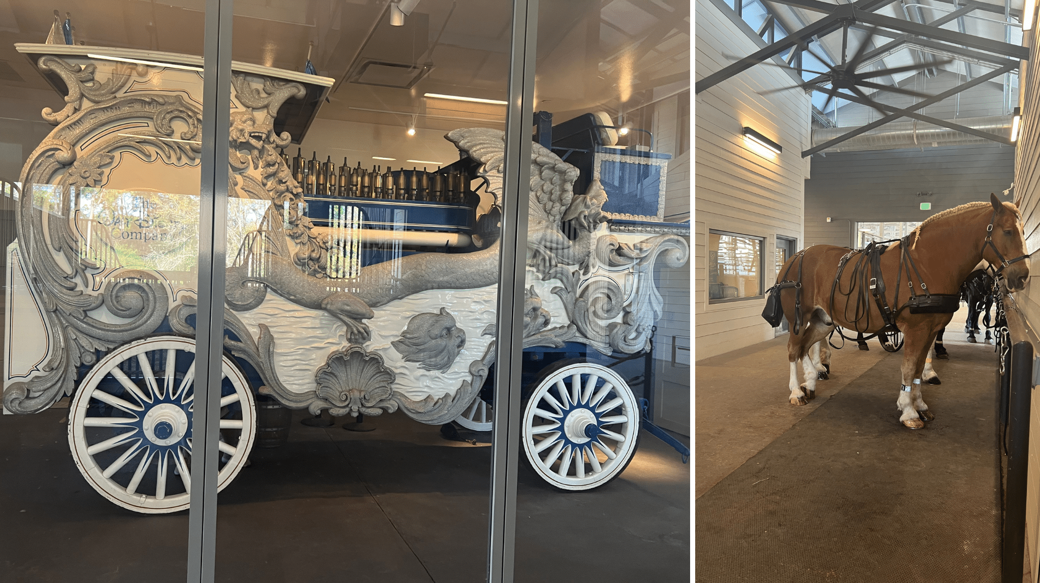 Horses and one of the original carriages at Tri Circle D Ranch at Disney's Fort Wilderness Campgrounds in Walt Disney World 
